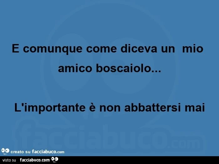 E comunque come diceva un  mio amico boscaiolo&hellip; L'importante è non abbattersi mai