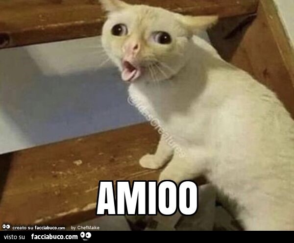 Amioo
