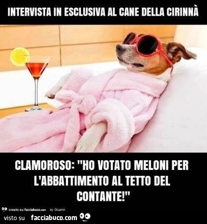 Vaccata