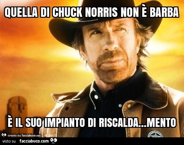 chuck norris barba meme