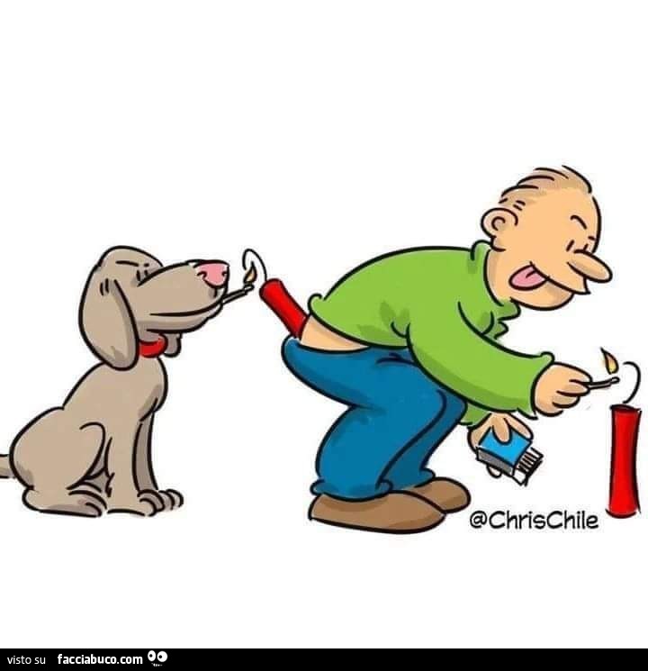 Il cane accette il petardo nel sedere di lui