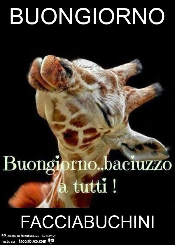 Buongiorno facciabuchini