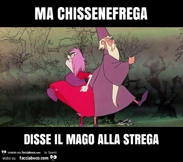 Ma chissenefrega disse il mago alla strega