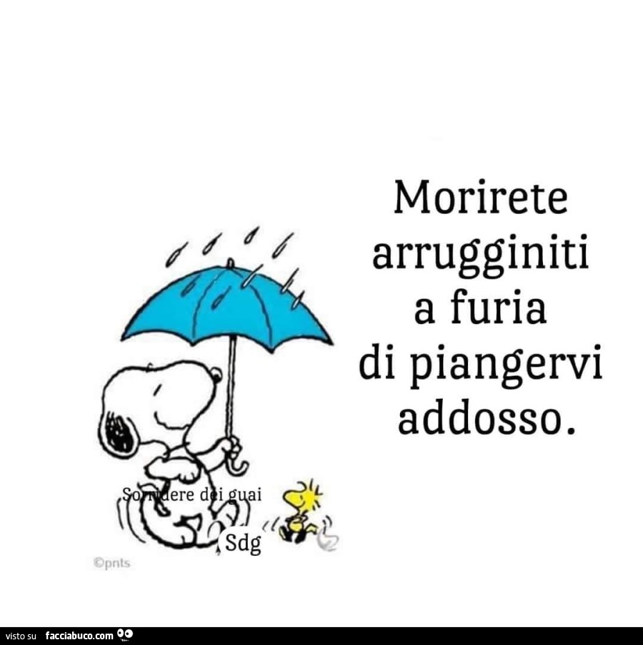Morirete arrugginiti a furia di piangervi addosso
