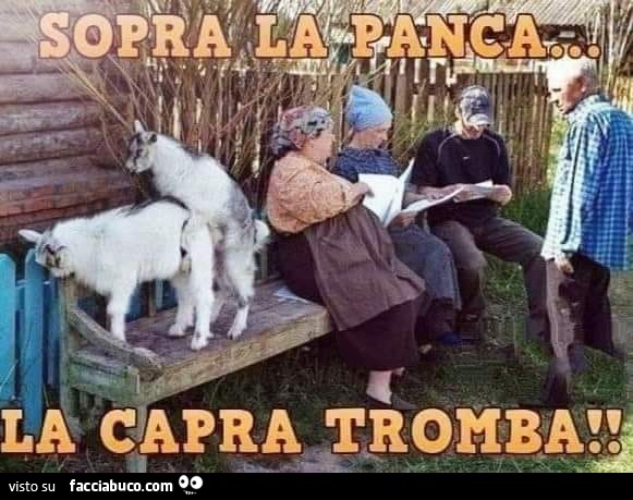 Vaccata