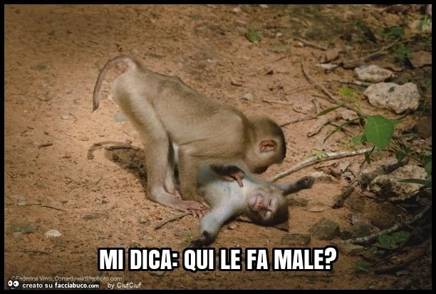 Mi dica: qui le fa male?