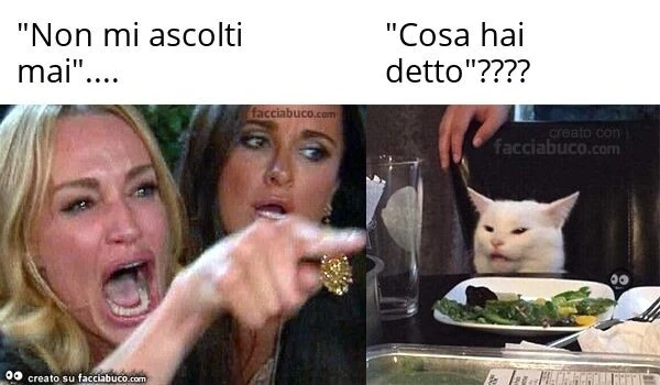 "non mi ascolti mai"&hellip; "cosa hai detto"?