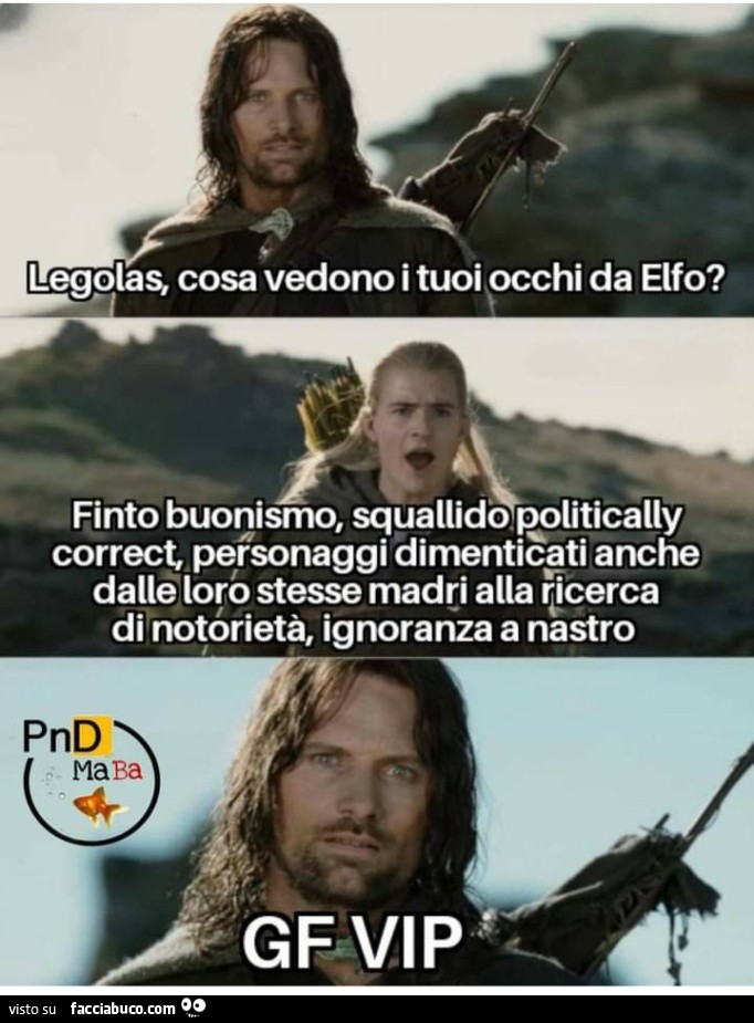 Legolas cosa vedono i tuoi occhi da elfo finto buonismo squallido