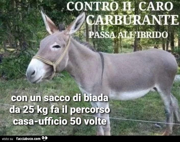 Risparmio energetico