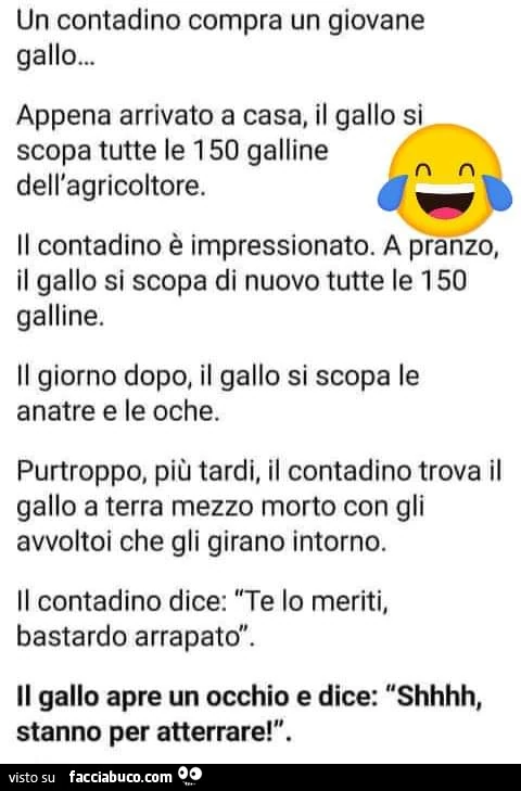 Un contadino compra un giovane gallo. Appena arrivato a casa, il gallo si scopa tutte le 150 galline dell'agricoltore. Il contadino è impressionato