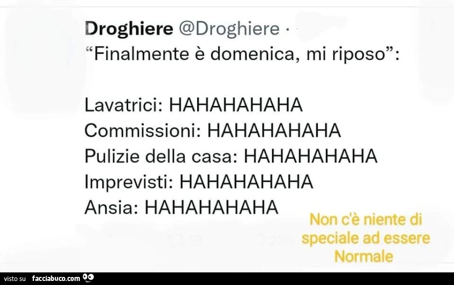 Finalmente รจ domenica, mi riposo: lavatrici: hahahahaha commissioni: hahahahaha pulizie della casa: hahahahaha