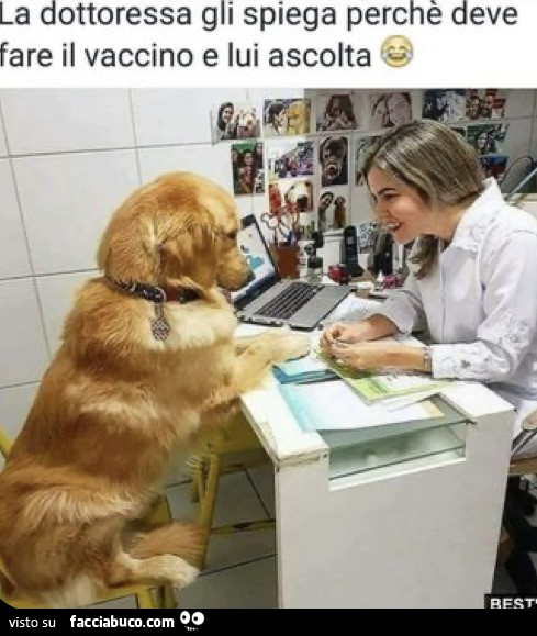 I cani e i vaccini