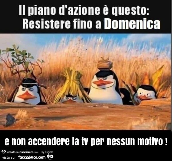 E non accendere la tv per nessun motivo