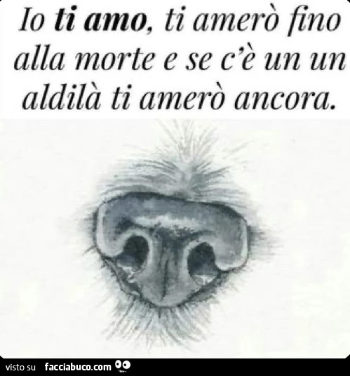Io ti amo, ti amerò fino alla morte e se c'è un un aldilà ti amerò ancora