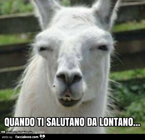 Quando ti salutano da lontano