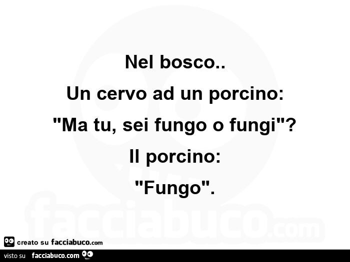 Nel bosco. Un cervo ad un porcino ma tu, sei fungo o fungi? Il porcino