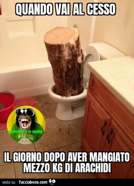 Quando vai al cesso il giorno dopo aver mangiato un kg di arachidi