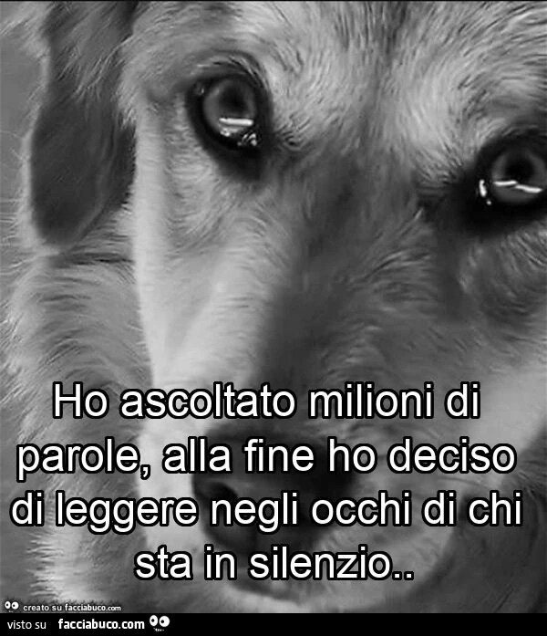 Ho ascoltato milioni di parole, alla fine ho deciso di leggere negli occhi di chi sta in silenzio