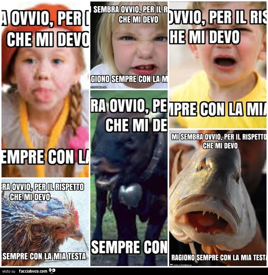 Con la mia testa