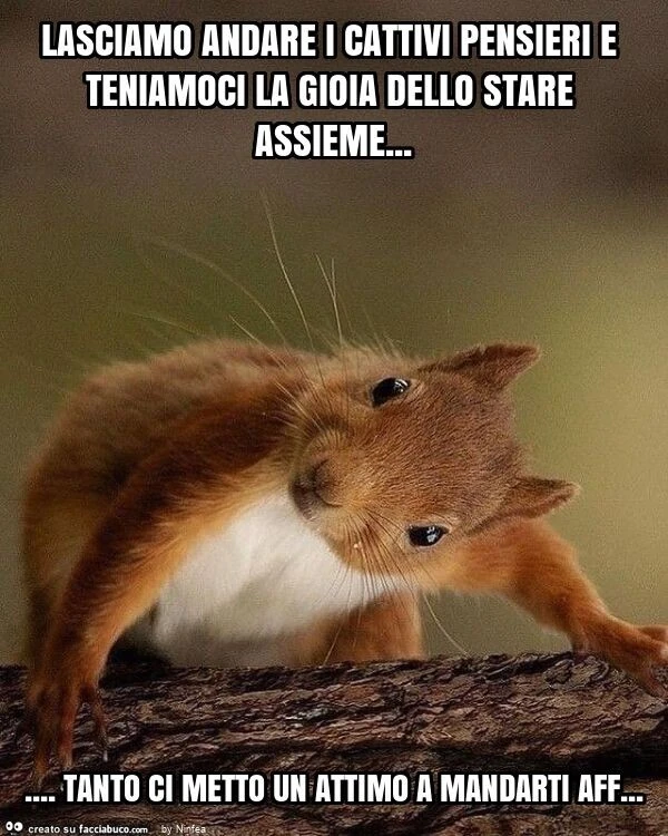 Lasciamo andare i cattivi pensieri e teniamoci la gioia dello stare assieme&hellip; tanto ci metto un attimo a mandarti aff