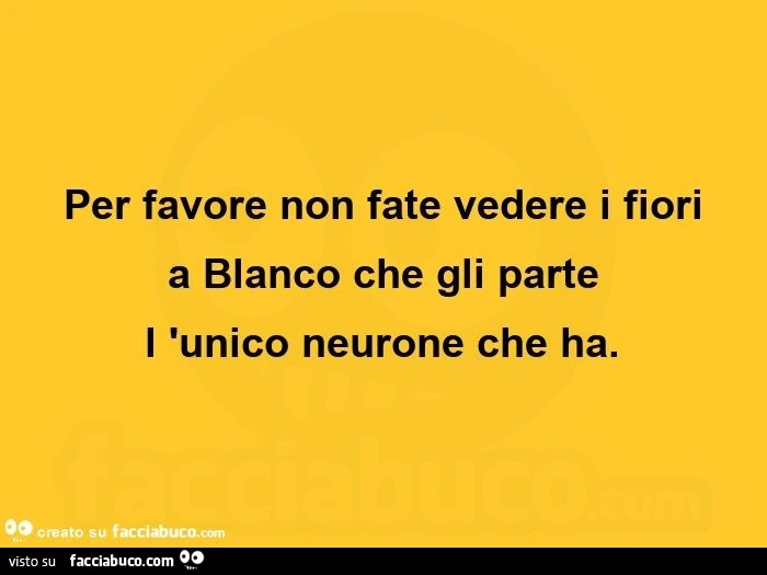 Per favore non fate vedere i fiori a blanco che gli parte l'unico neurone che ha