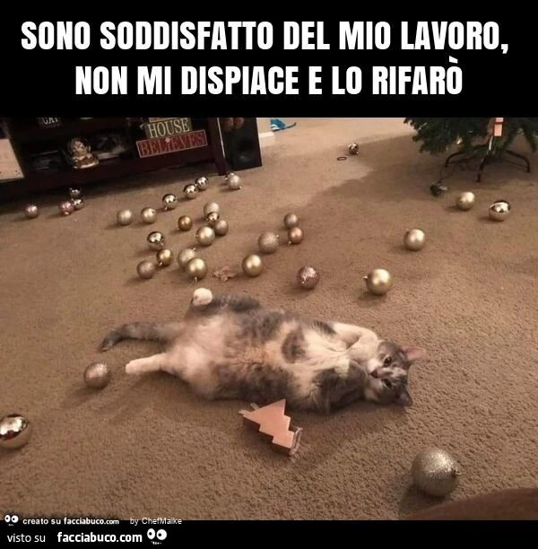 Sono soddisfatto del mio lavoro, non mi dispiace e lo rifarò
