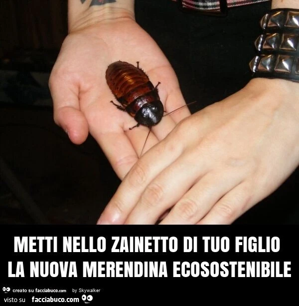 Metti nello zainetto di tuo figlio la nuova merendina ecosostenibile