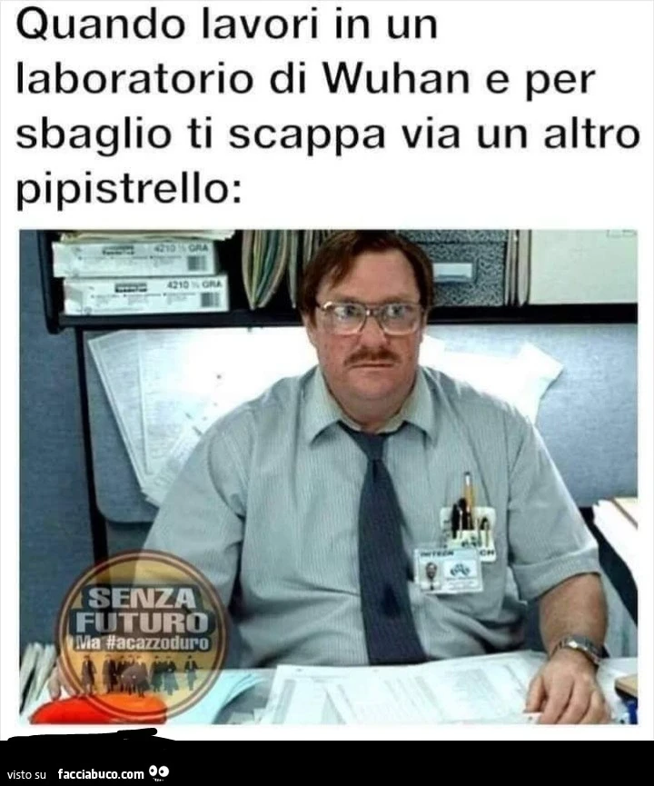 Vaccata