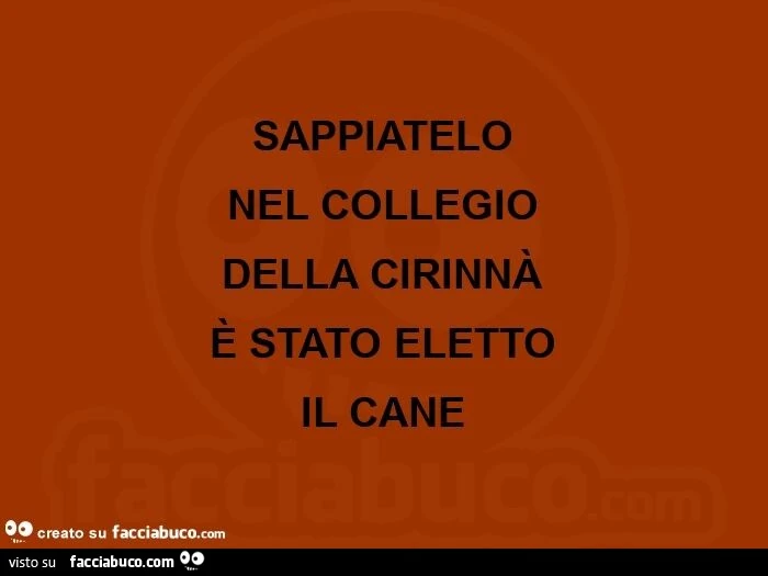 Sappiatelo nel collegio della cirinnà è stato eletto il cane