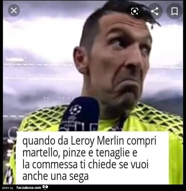 Leroy merlin
