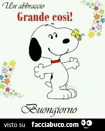 Un abbraccio grande così