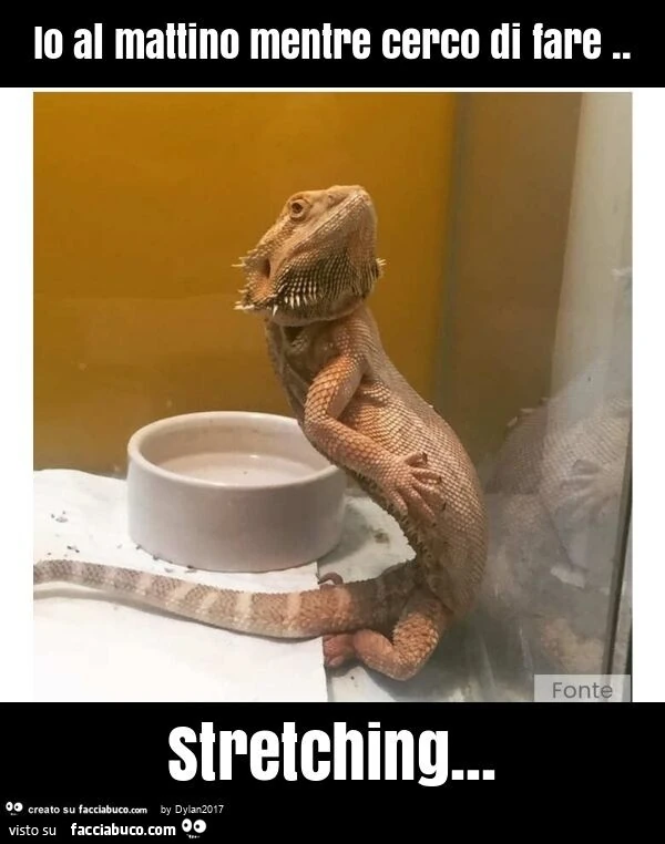 Io al mattino mentre cerco di fare. Stretching