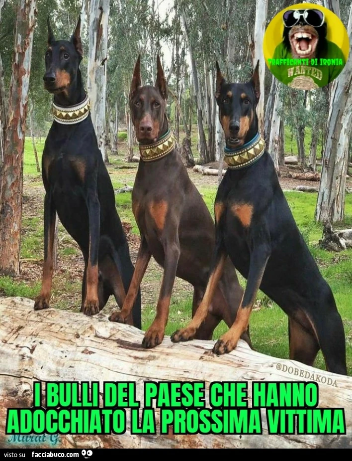 I bulli del paese che hanno adocchiato la prossima vittima