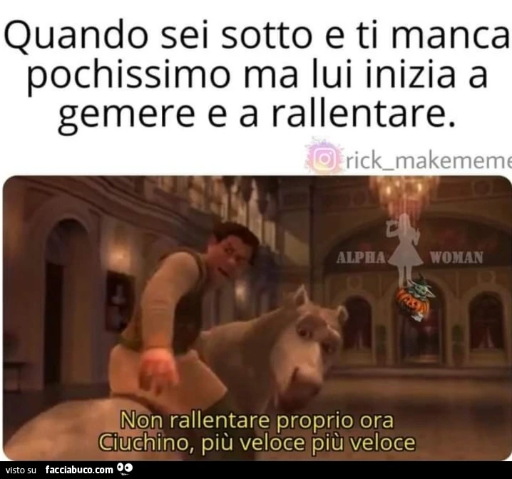 Vaccata