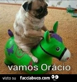 Vaccata