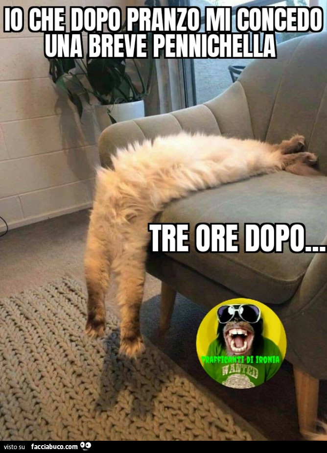 Io che dopo pranzo mi concedo una breve pennichella tre ore dopo