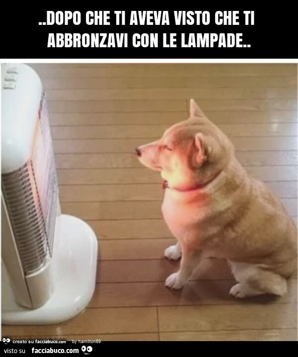 Dopo che ti aveva visto che ti abbronzavi con le lampade