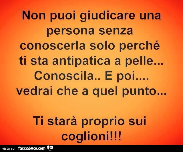 Non puoi giudicare una persona senza conoscerla solo perché ti sta antipatica a pelle… conoscila. E poi… vedrai che a quel punto… ti starà proprio sui coglioni