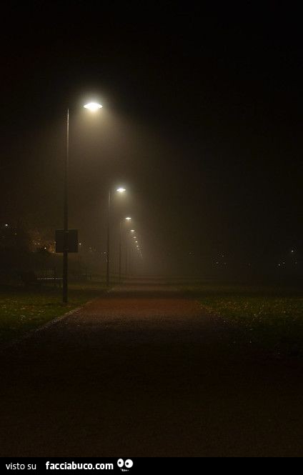 Lampioni e nebbia