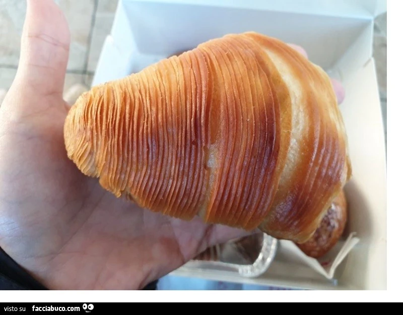 Vaccata