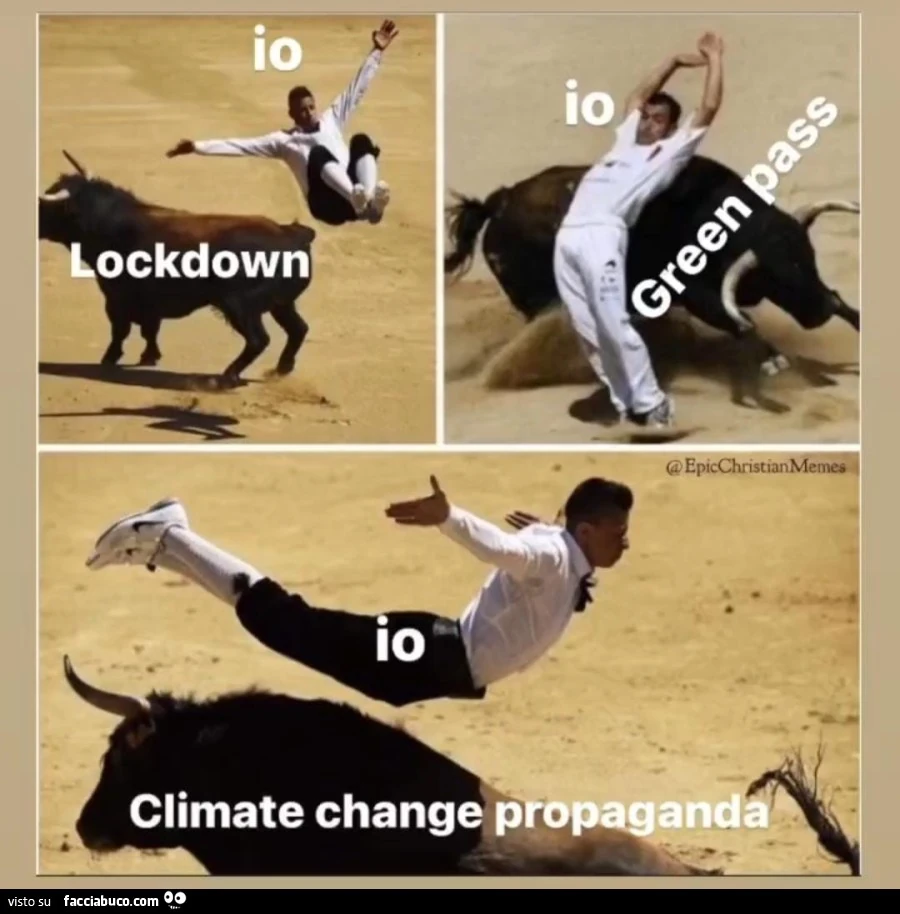 Vaccata
