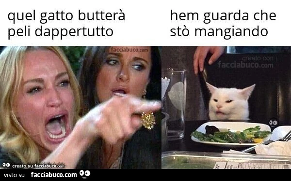 Quel gatto butterà peli dappertutto. Hem guarda che stò mangiando