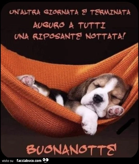 Saluti notte