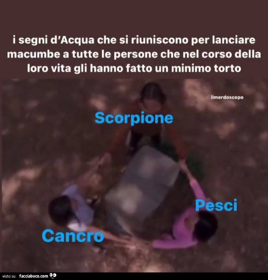 Vaccata