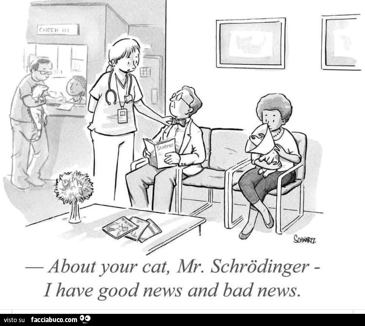 About your cat, mr. Schrôdinger I have good news and bad news
