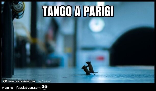 Tango a parigi