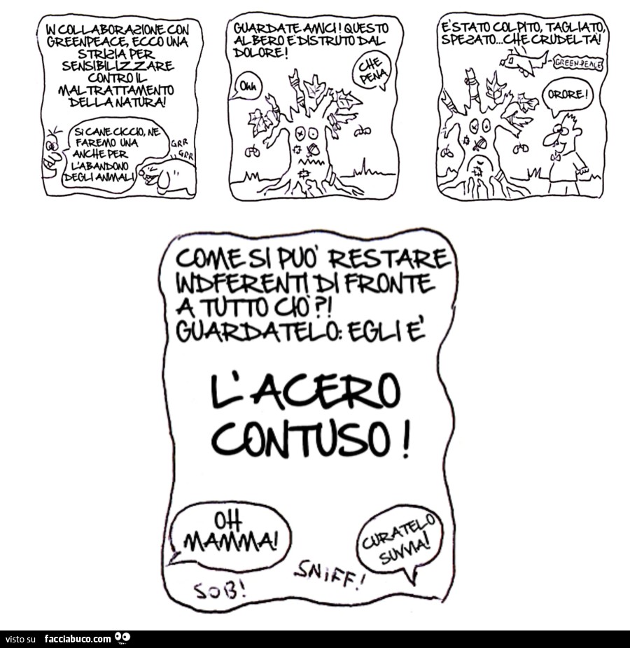 L'acero contuso. Omino bufo. I4S