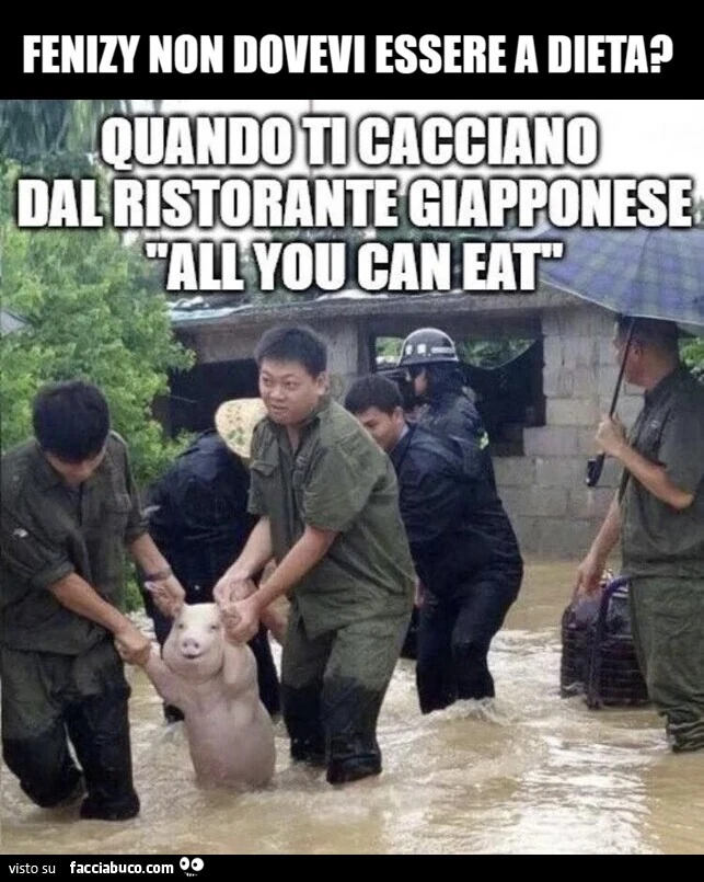Vaccata
