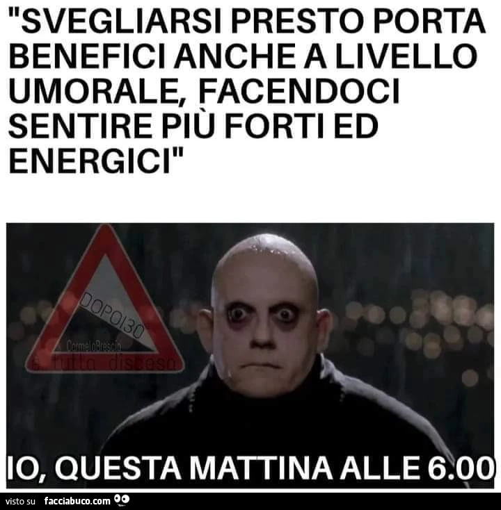 Vaccata
