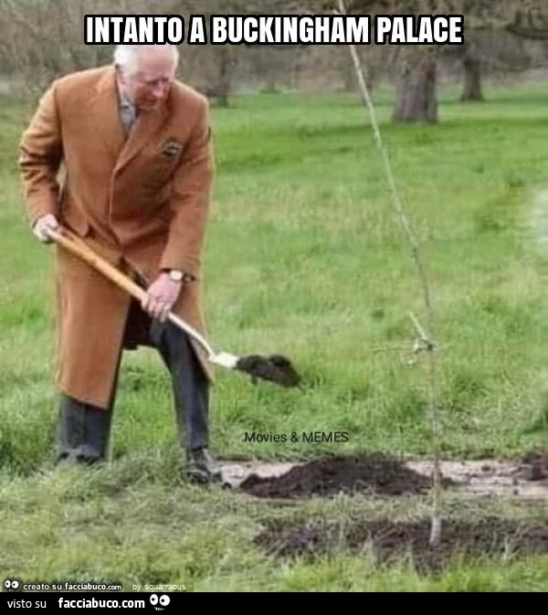Intanto a buckingham palace